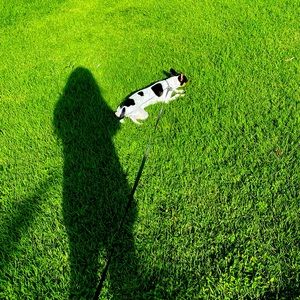 Meet your Posher, Luna